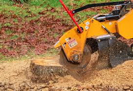 How Our Tree Care Process Works  in  Rowland Heights, CA
